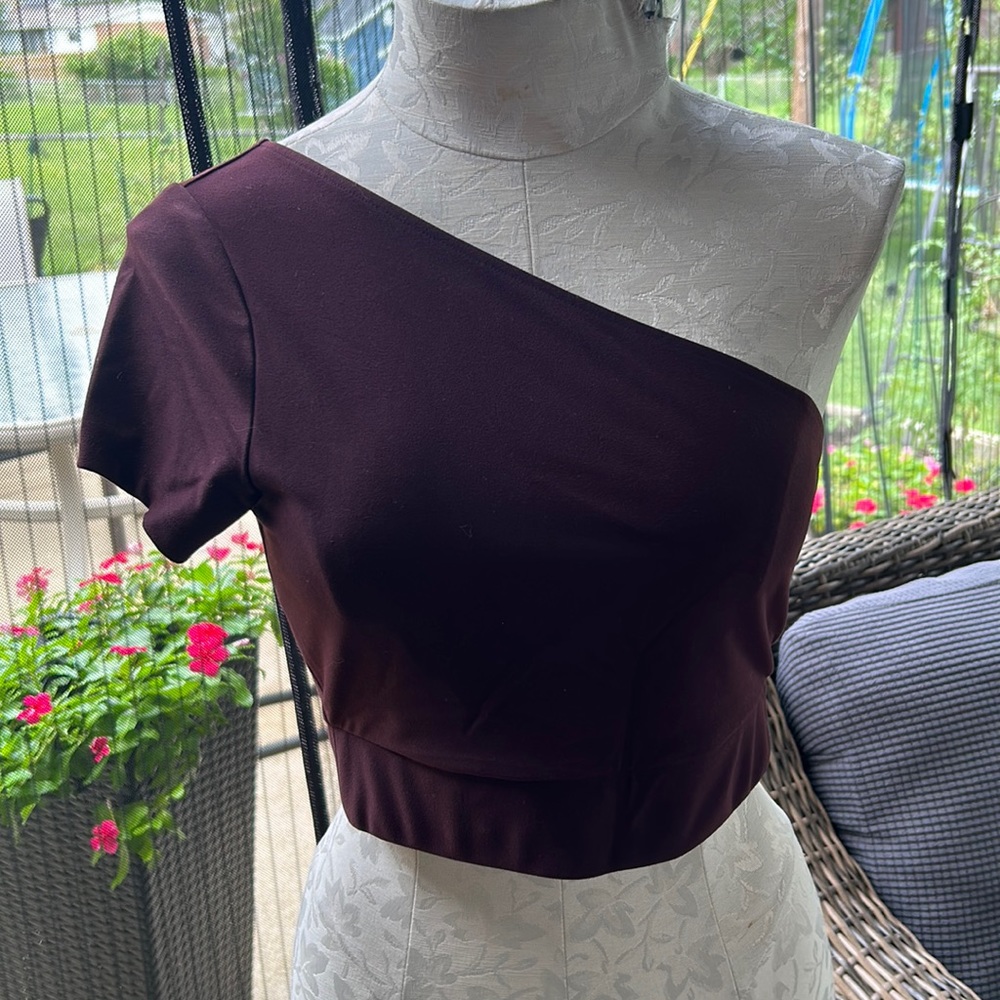 Victoria’s Secret Sport Maroon One Shoulder Women’s Crop Top